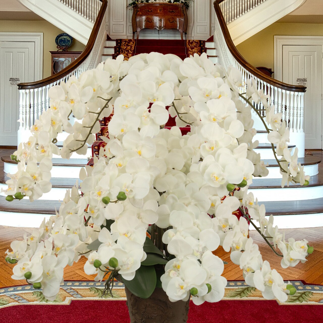 49" Phalaenopsis Orchid Stem – Lifelike Silk Blooms for Weddings, Events & Home Décor